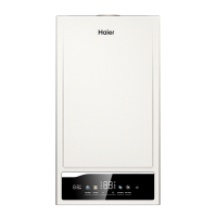 Газовый котёл Haier EliteLine 1.31 TW